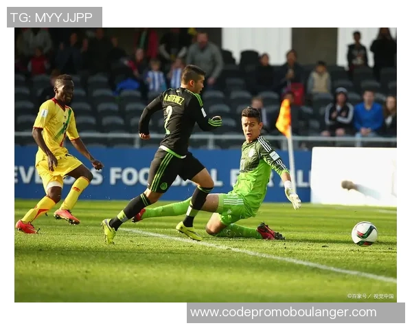 非洲杯精彩对决马里与突尼斯争夺晋级资格的激烈战斗