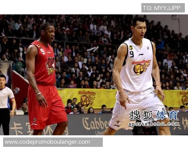 辽宁对阵青岛麦蒂直播精彩呈现全场比赛不容错过